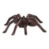 Cast Iron Tarantula Spider Figurine or Paperweight