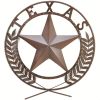 24-inch Lone Star State Metal Wall Art