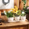 Ceramic Mini Planter Set - Ivory Round