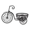 Iron Tricycle Plant Stand