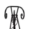 Iron Tricycle Plant Stand