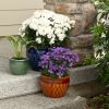 Embossed Jewel Tone Ceramic Planter Set