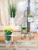 Iron Spiral Staircase Plant Stand