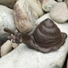 Cast Iron Garden Snail Key Hider