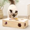 Cat Toys Interactive Whack-a-mole Solid Wood Toys for Indoor Cats Kitten Catch Mice Game