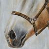 Hand Painted Horse Wooden Wall Art Decor, Multicolor