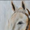 Hand Painted Horse Wooden Wall Art Decor, Multicolor