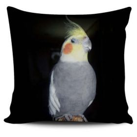 Cute Bird Pillow Cushion