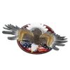 American Pride Eagle Statue