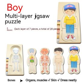 Boys' Body Structure Puzzle Children's Wooden Toys (Option: MT Boy Multi Layer Puzzle)