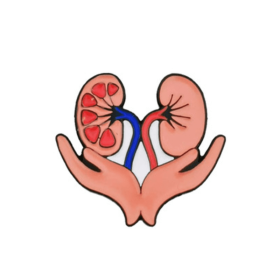 Self Made Human Organ Brooch Decoration Badge (Option: ZQ kidney)