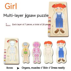 Boys' Body Structure Puzzle Children's Wooden Toys (Option: MT Girl Multi Layer Puzzle)