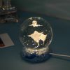 Stars And Seas; Ocean Series Crystal Ball Ornaments; Night Lights; Bedroom Desktop Decorations; Creative Birthday Gifts